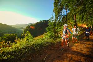 BIB: 
                            <button type="button" onclick="openModal(19169019)" class="btn btn-primary btn-sm float-right btn-popup" data-toggle="modal" data-target=".modal-high-quality">
                        <i class="fas fa-shopping-cart"></i> Add to Cart
                    </button>
                                            <button type="button" onclick="isThisMe(19169019, true)" class="btn btn-success btn-sm float-right btn-popup btn-isme hidden" data-toggle="tooltip" data-placement="bottom" title="นี่คือรูปของคุณใช่ไหม คลิกที่นี่เพื่อเอาเข้าอัลบั้ม">
                        <i class="fas fa-plus"></i> Add to album
                    </button>
                    <button type="button" onclick="isThisMe(19169019, false)" class="btn btn-warning btn-sm float-right btn-popup btn-isnotme hidden">
                        <i class="fas fa-ban"></i> Remove from album
                    </button>